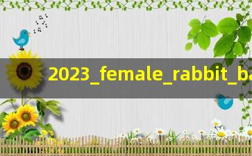 2023女兔宝宝