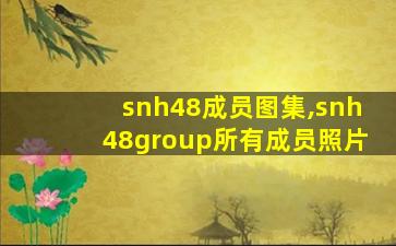 snh48成员图集,snh48group所有成员照片