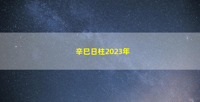 辛巳日柱2023年