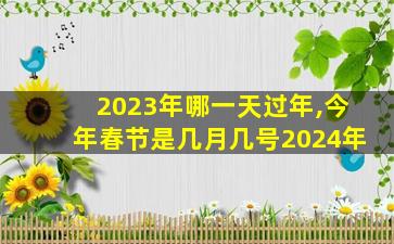 2023年哪一天过年,今年春节是几月几号2024年