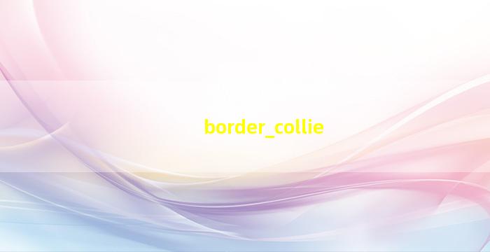 border collie