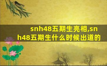 snh48五期生亮相,snh48五期生什么时候出道的