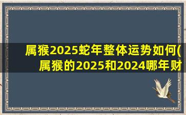 属猴2025蛇年整体运势如何(属猴的2025和2024哪年财运高)
