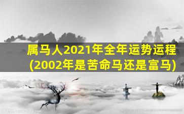 属马人2021年全年运势运程(2002年是苦命马还是富马)