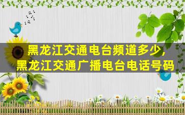黑龙江交通电台频道多少,黑龙江交通广播电台电话号码